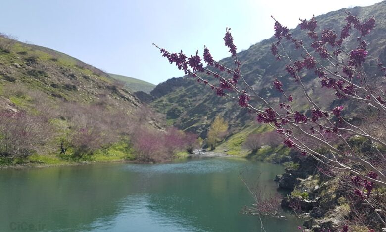 دره ارغوان مشهد