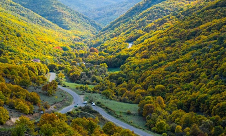 پارک جنگلی مکیدی از جاهای دیدنی ارسباران